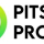 PitStop Pro 2023 WIN/MAC