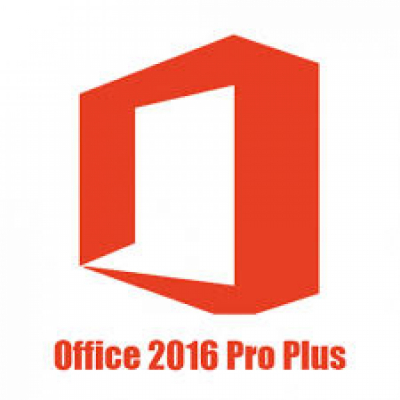 Microsoft Office 2016 Professional Plus Lic/SA OLP NL                    