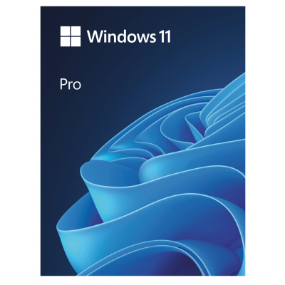 Windows 11 Pro 64bit OEM CZ DVD                    