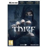Thief