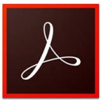 Adobe Acrobat Professional DC MP ML (vč. CZ), 12 měsíců