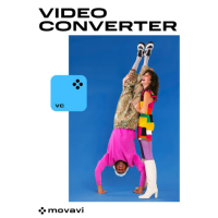Movavi Video Converter, čeština do programu