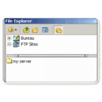 AceHTML Pro
