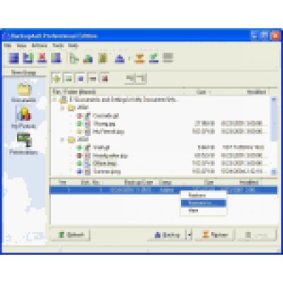 Backup4all Professional Edition                    