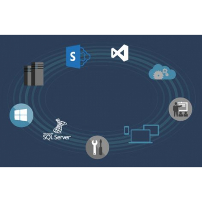 MSDN Platforms All Lng SA                    