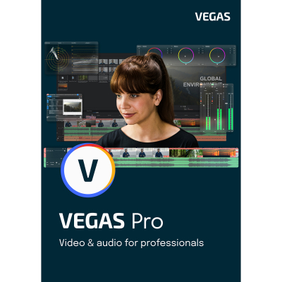 VEGAS 19 PRO, EDU/GOV, ESD                    