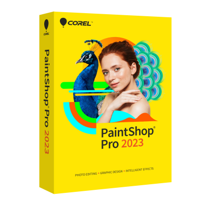 PaintShop Pro 2023, Box                    