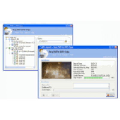 Easy DVD to DVD Copy                    