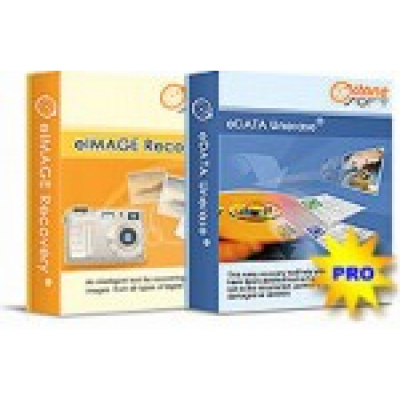 eIMAGE Recovery + eDATA Unerase Professional                    