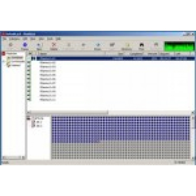 FlashGet 1 licence                    