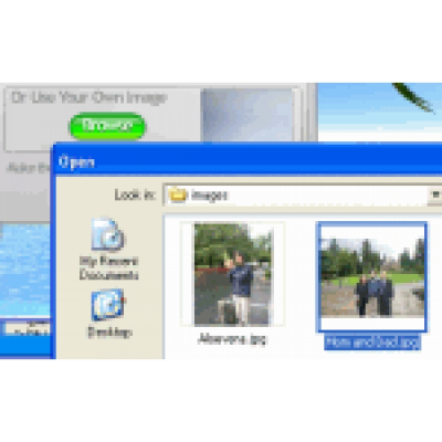 IntroWizard Flash Website Builder                    