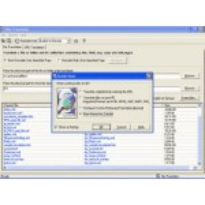 Site Translator                    