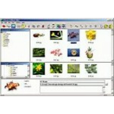 Advanced Album Editor