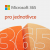                 Microsoft 365 pro jednotlivce, předplatné na 1 rok, ML, ESD            